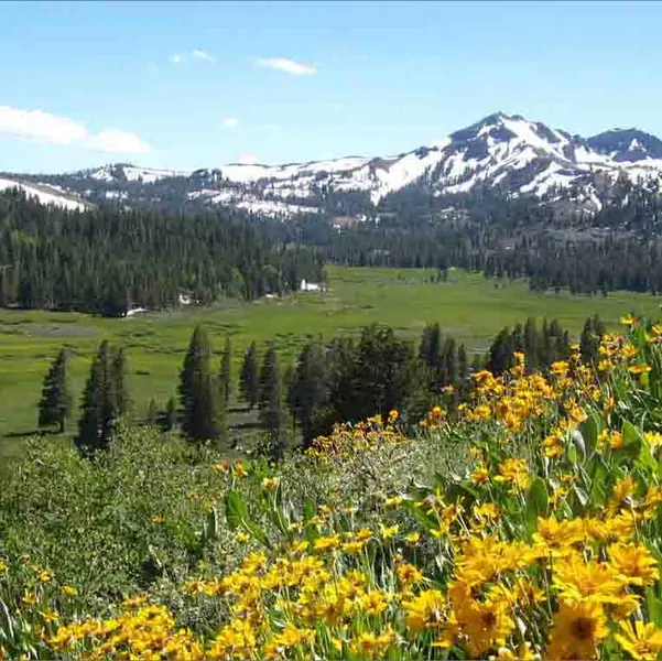 San Joaquin Valley