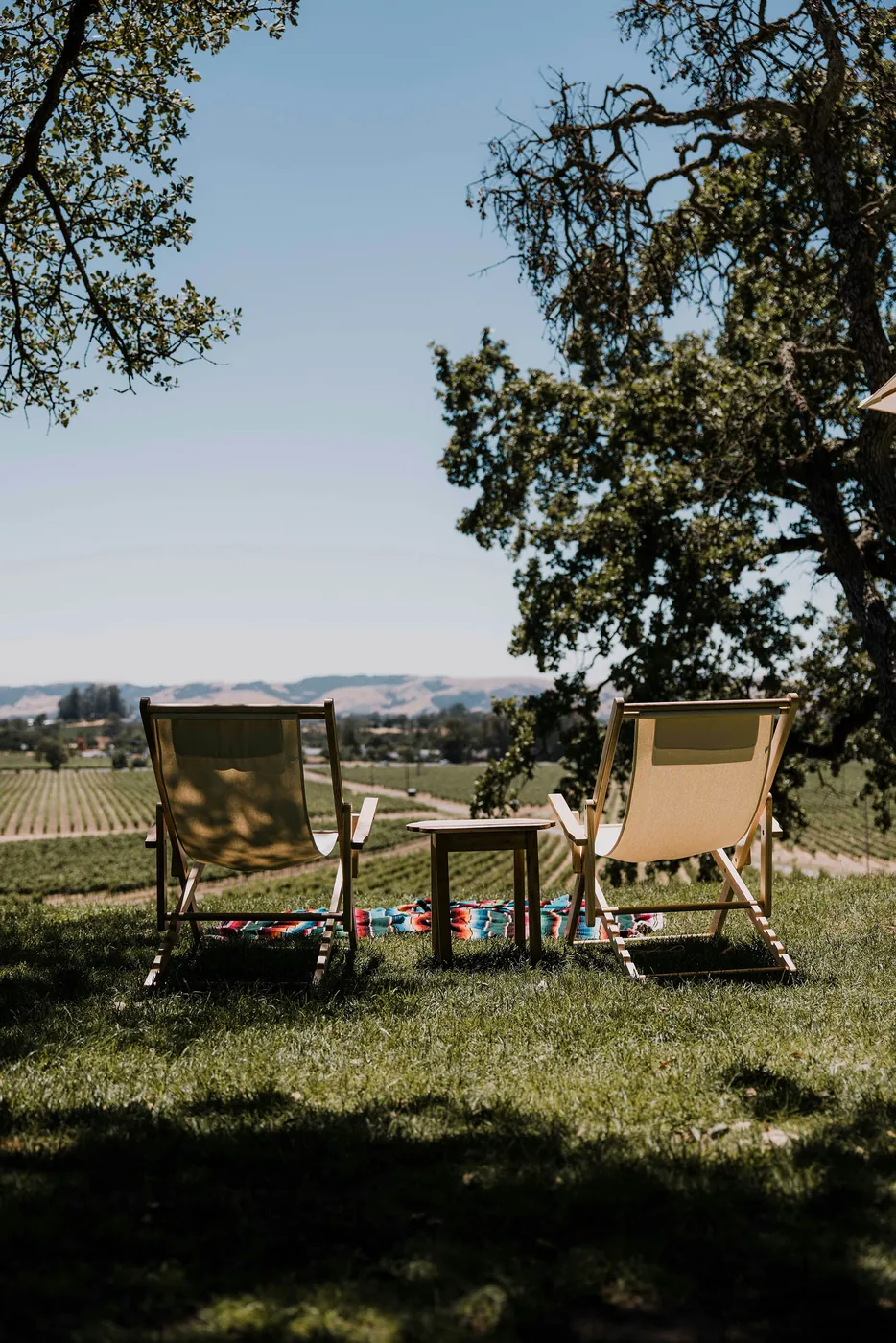 Northern California property landscape